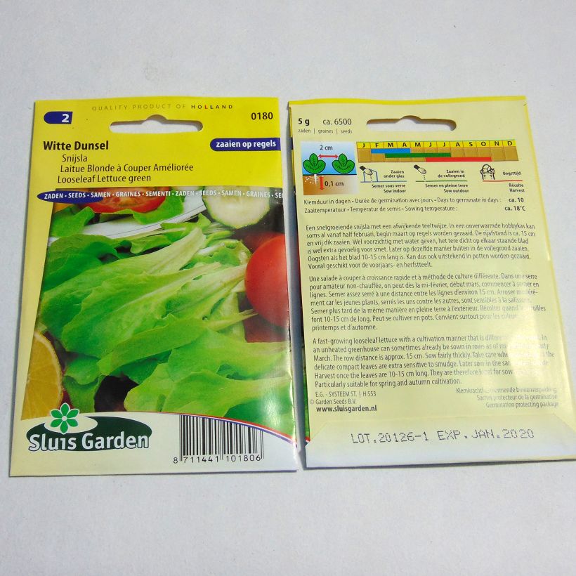 Example of Schnittsalat Blonde améliorée per pack of 6500 seeds (5g) as you get