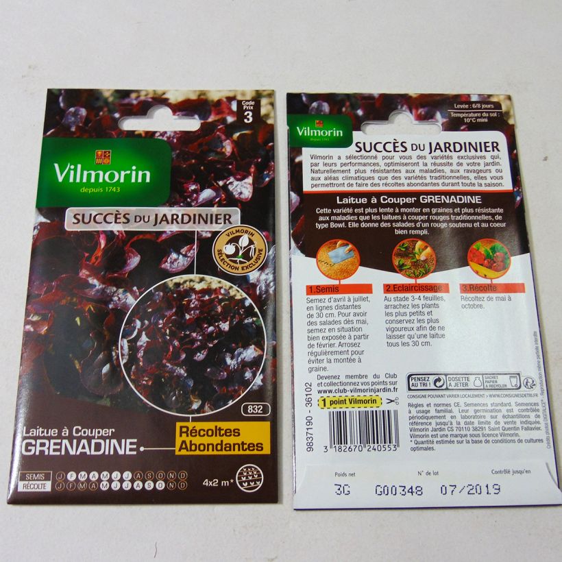Example of Schnittsalat Grenadine per pack of 3000 seeds (3g) as you get