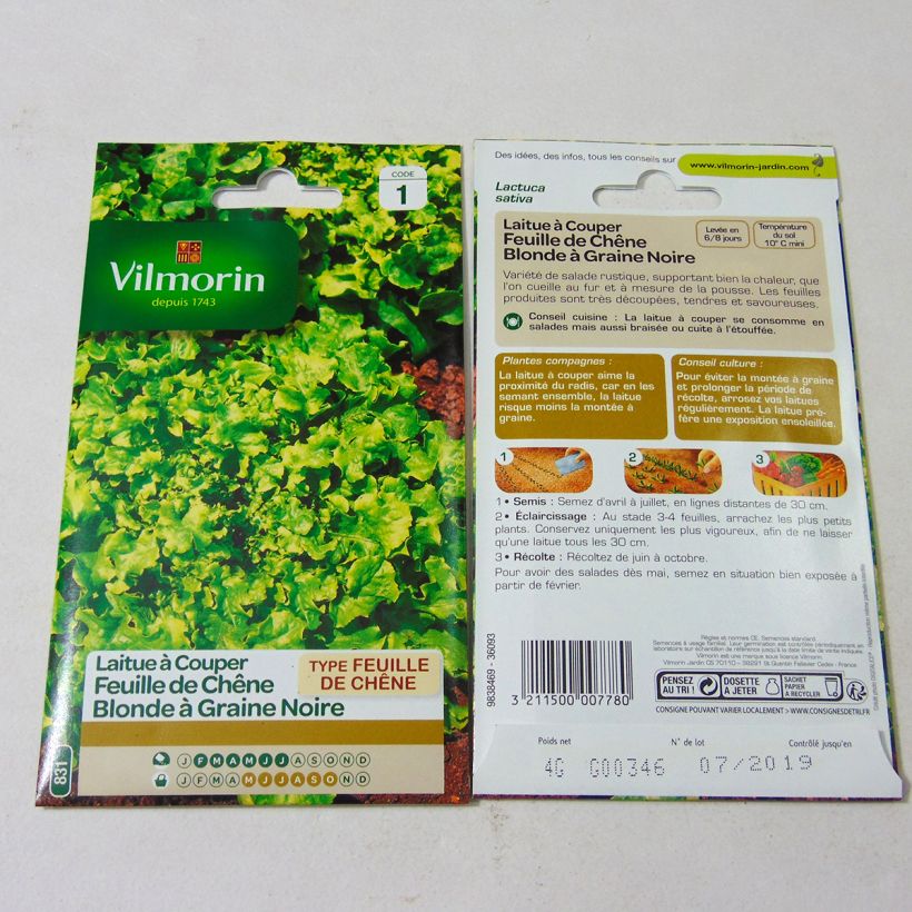 Example of Schnittsalat Eichenblatt Blonde - Vilmorin per pack of 4000 seeds (4g) as you get