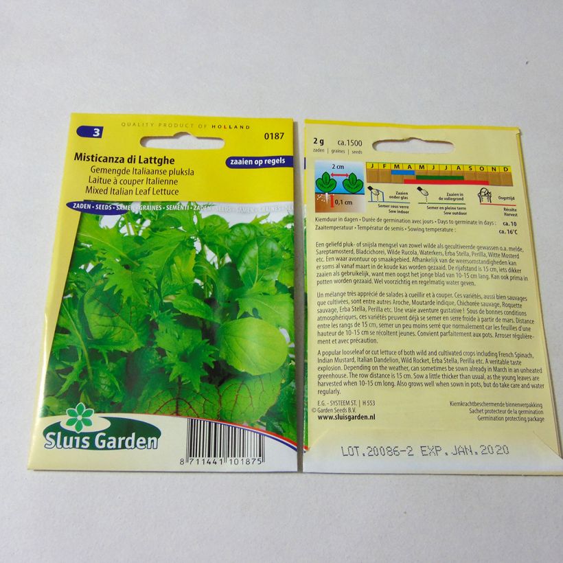Example of Schnittsalat Misticanza di Lattghe per pack of 1500 seeds (2g) as you get