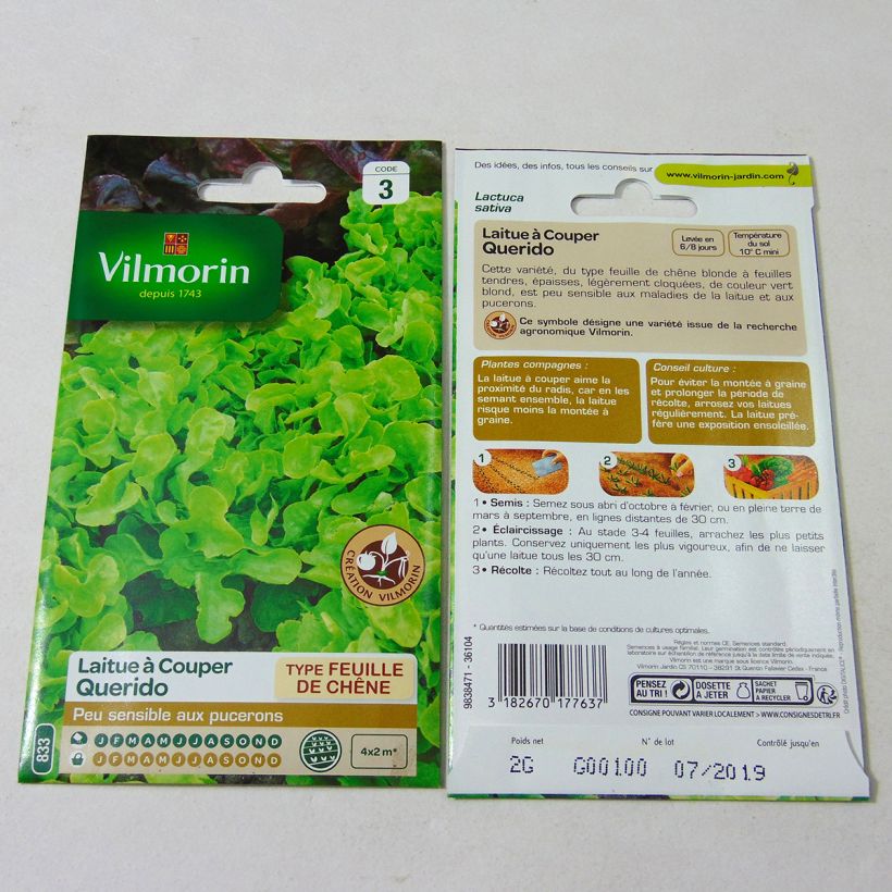 Example of Schnittsalat Querido per pack of 1600 seeds (2g) as you get