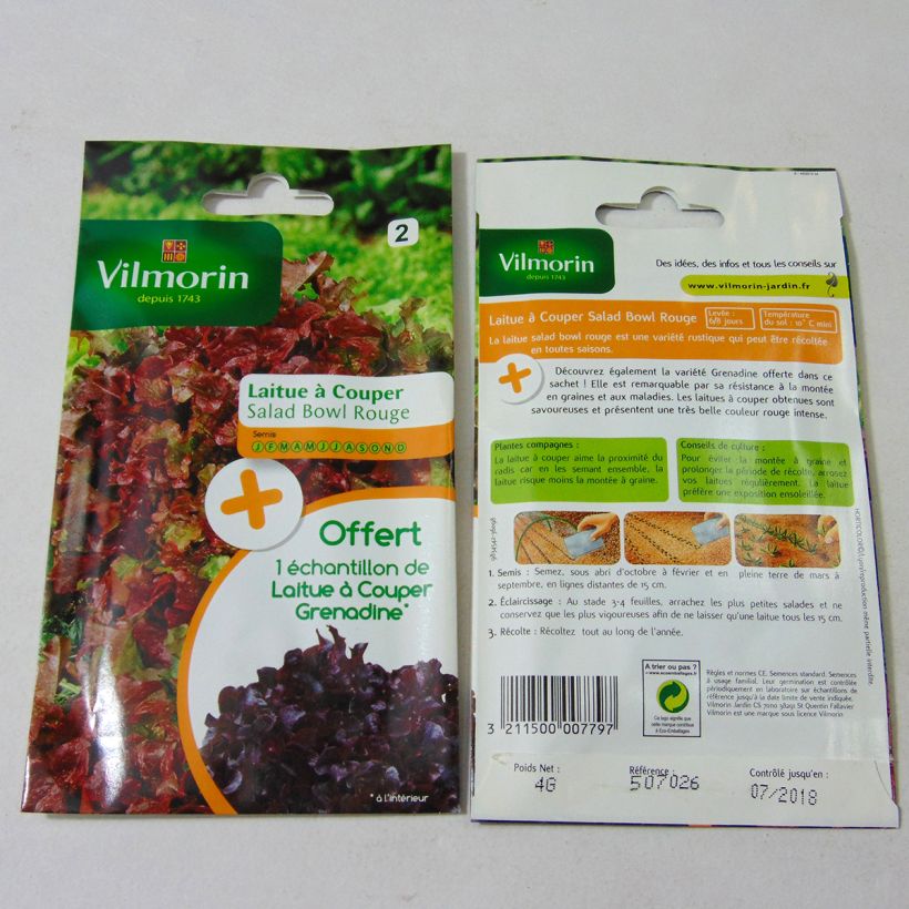 Example of Schnittsalat Red Salad Bowl per pack of 3200 seeds (4g) as you get