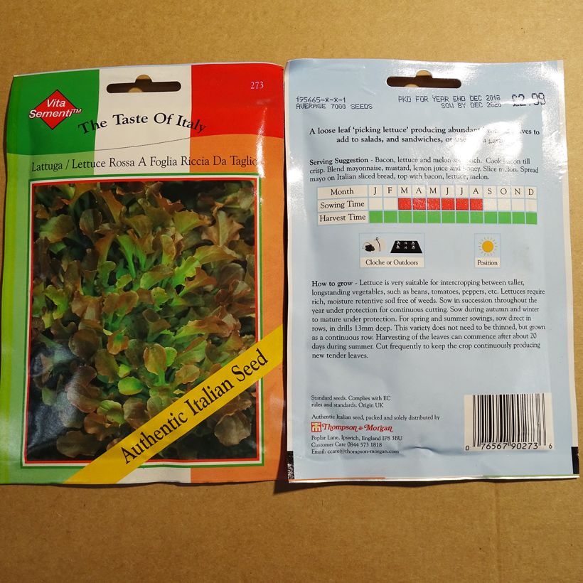 Example of Schnittsalat Riccia Rossa da Taglio per pack of 7000 seeds as you get