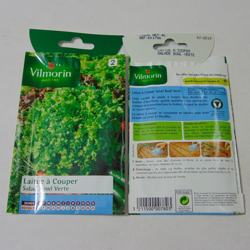 Example of Schnittsalat Salad Bowl Verte - Vilmorin per pack of 3200 seeds (4g) as you get