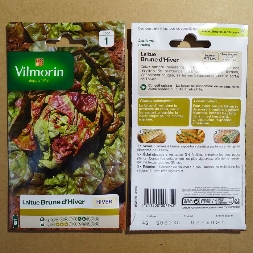 Example of Winterkopfsalat Brune d'Hiver (Brauner Winter) - Vilmorin per pack of 3200 seeds (4g) as you get