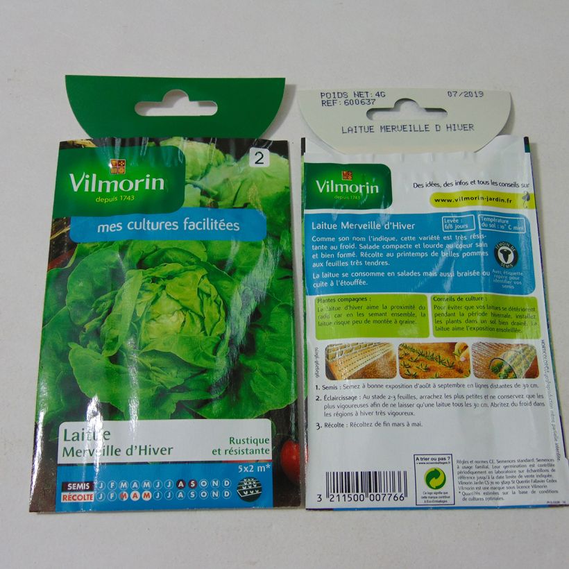Example of Winterkopfsalat Merveille d'Hiver - Vilmorin per pack of 3200 seeds (4g) as you get