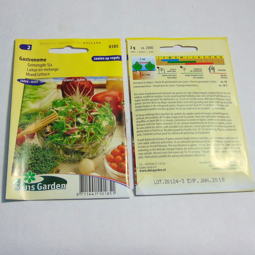 Example of Mesclun Mix Gastronome per pack of 2000 seeds (2g) as you get