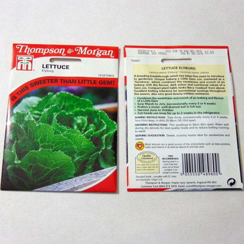 Example of Kopfsalat Elyburg per pack of 200 seeds as you get