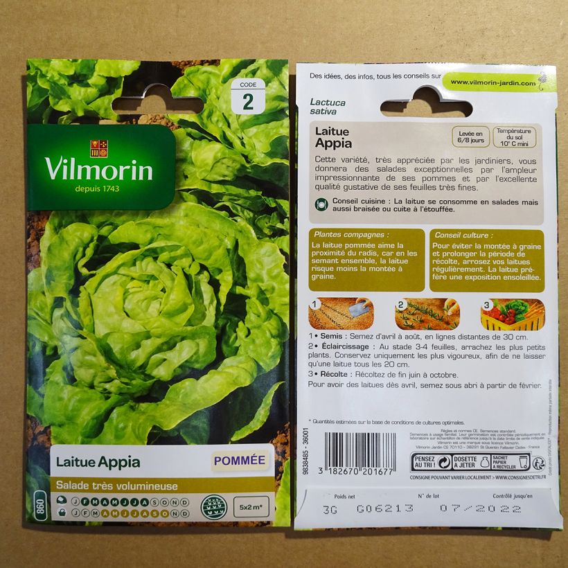Example of Kopfsalat Appia - Vilmorin per pack of 2400 seeds (3g) as you get
