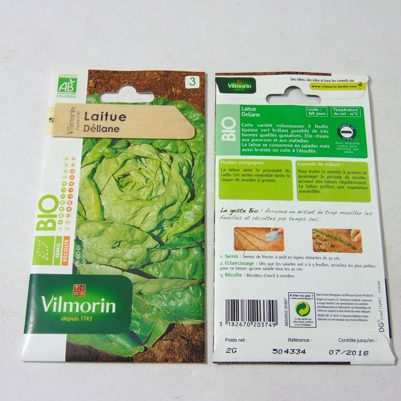 Example of Kopfsalat Deliane Bio - Vilmorin per pack of 1600 seeds (2g) as you get