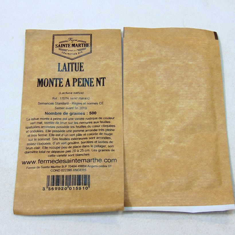 Example of Kopfsalat Monte à Peine per pack of 500 seeds as you get
