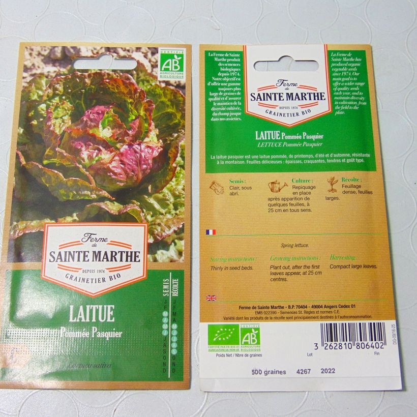 Example of Kopfsalat Pasquier Bio - Ferme de Sainte Marthe per pack of 600 seeds as you get