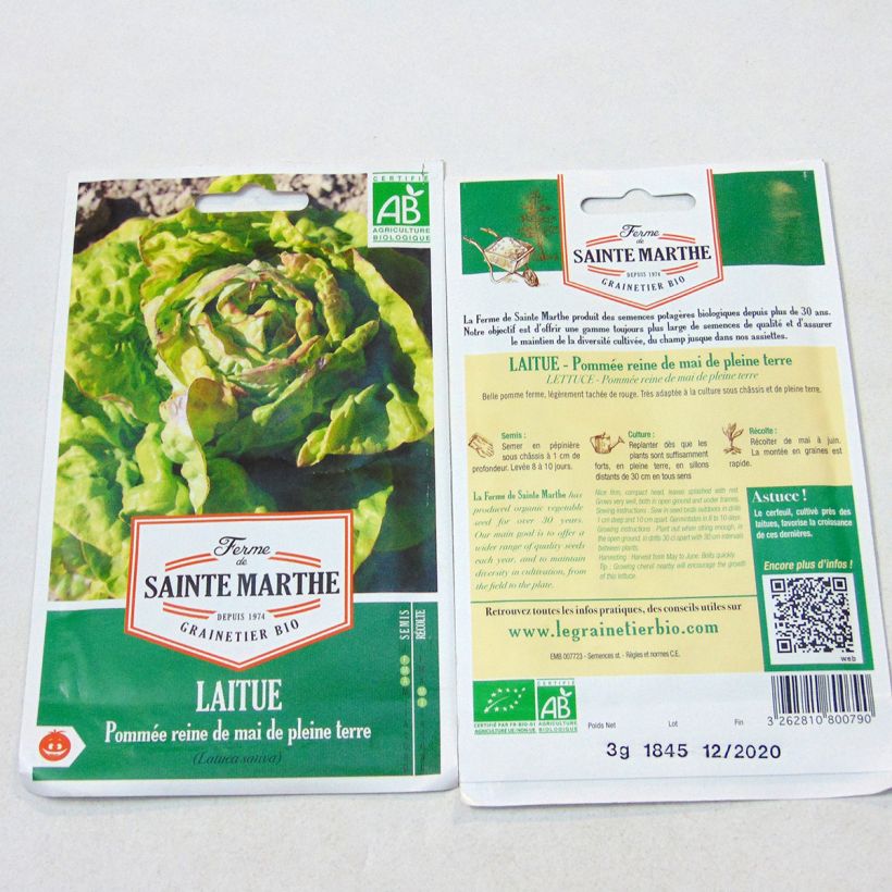 Example of Kopfsalat Reine de Mai Bio - Ferme de Sainte Marthe per pack of 2500 seeds (3g) as you get