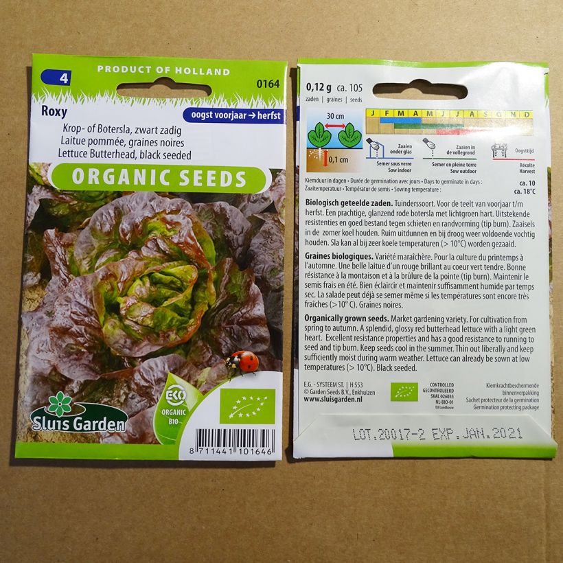 Example of Kopfsalat Roxy Bio per pack of 105 seeds (0.12g) as you get