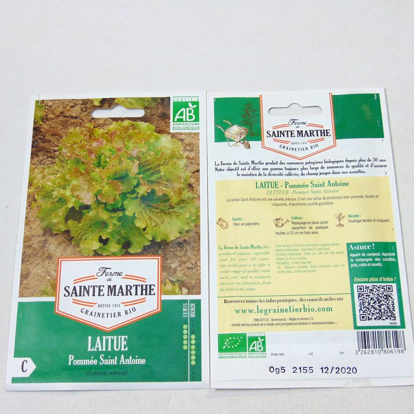 Example of Kopfsalat Saint Antoine Bio - Ferme de Sainte Marthe per pack of 500 seeds as you get