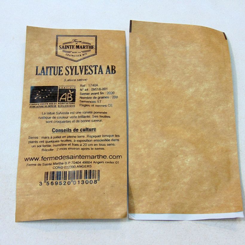 Example of Kopfsalat Sylvesta Bio per pack of 200 seeds as you get
