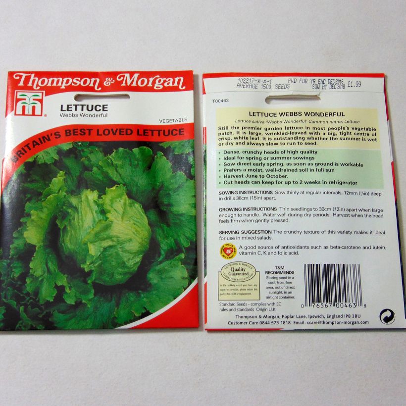 Example of Kopfsalat Webbs Wonderful per pack of 1500 seeds as you get