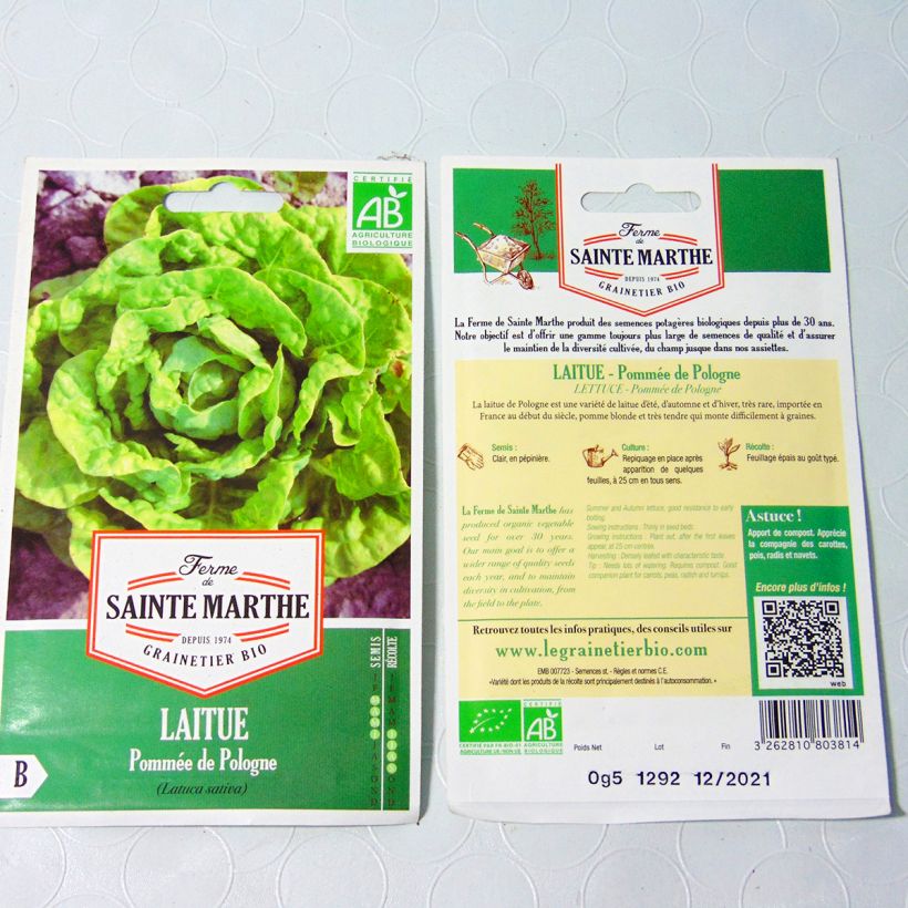 Example of Kopfsalat de Pologne Bio - Ferme de Sainte Marthe per pack of 500 seeds as you get