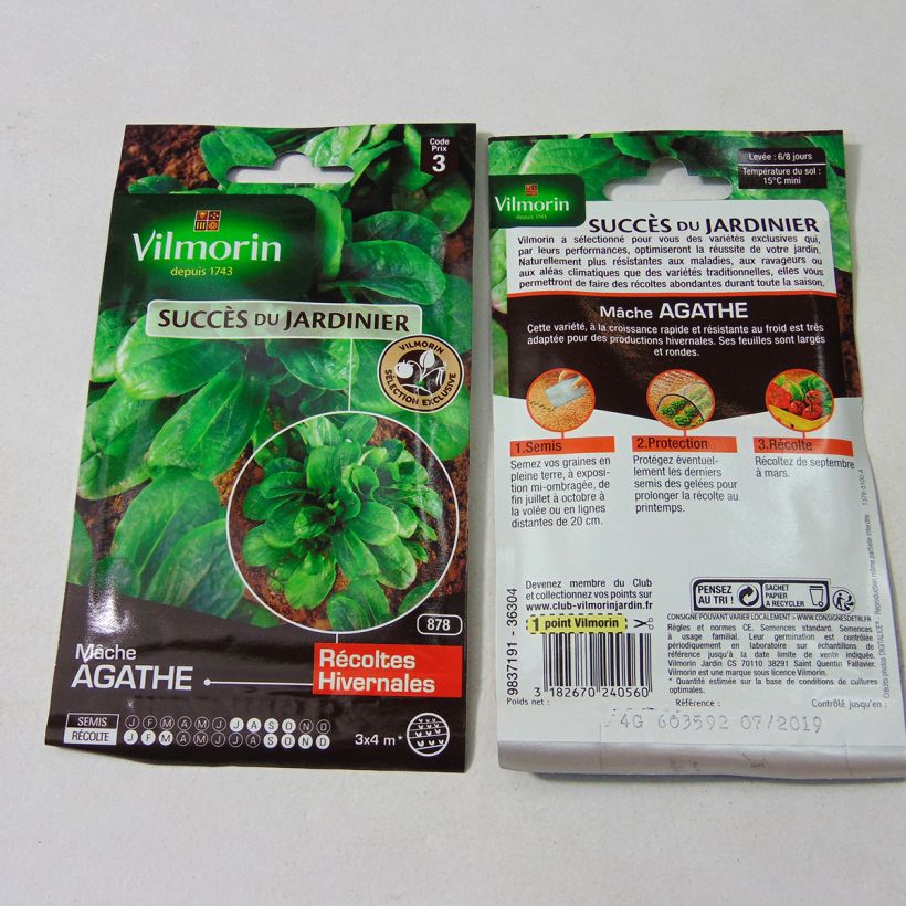 Example of Gewöhnlicher Feldsalat Agathe - Vilmorin per pack of 2600 seeds (4g) as you get