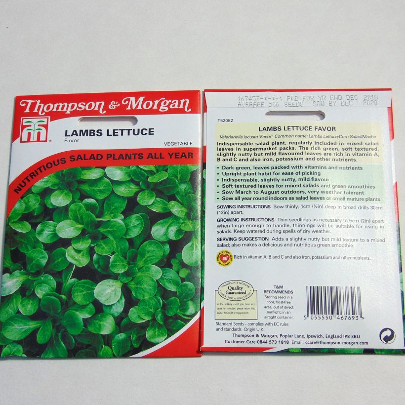 Example of Gewöhnlicher Feldsalat Favor per pack of 12 seeds as you get