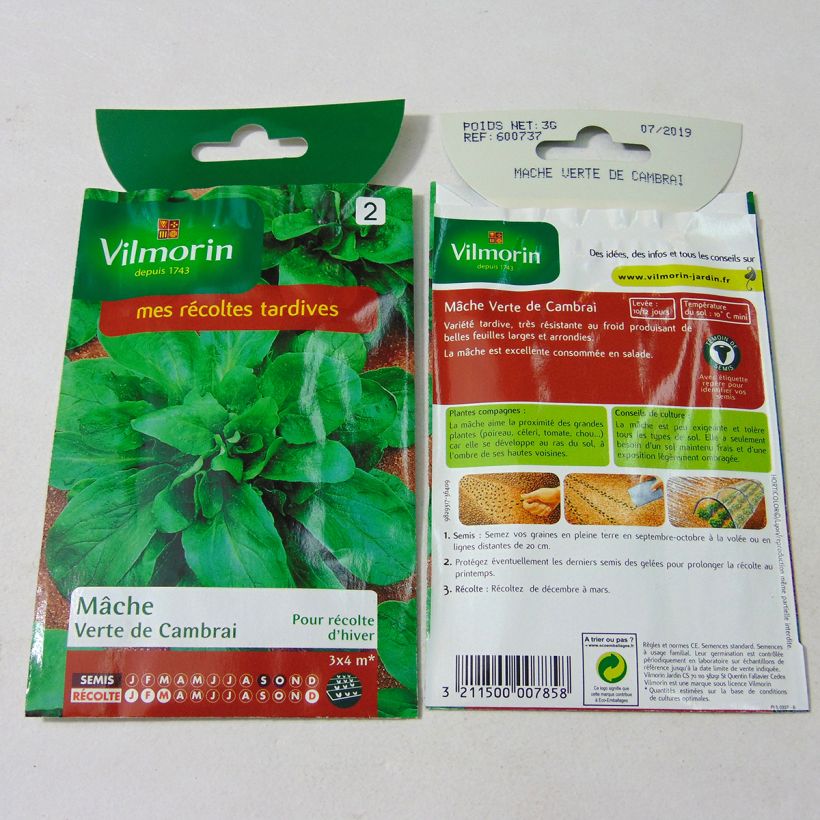 Example of Gewöhnlicher Feldsalat Verte de Cambrai - Vilmorin per pack of 1900 seeds (3g) as you get