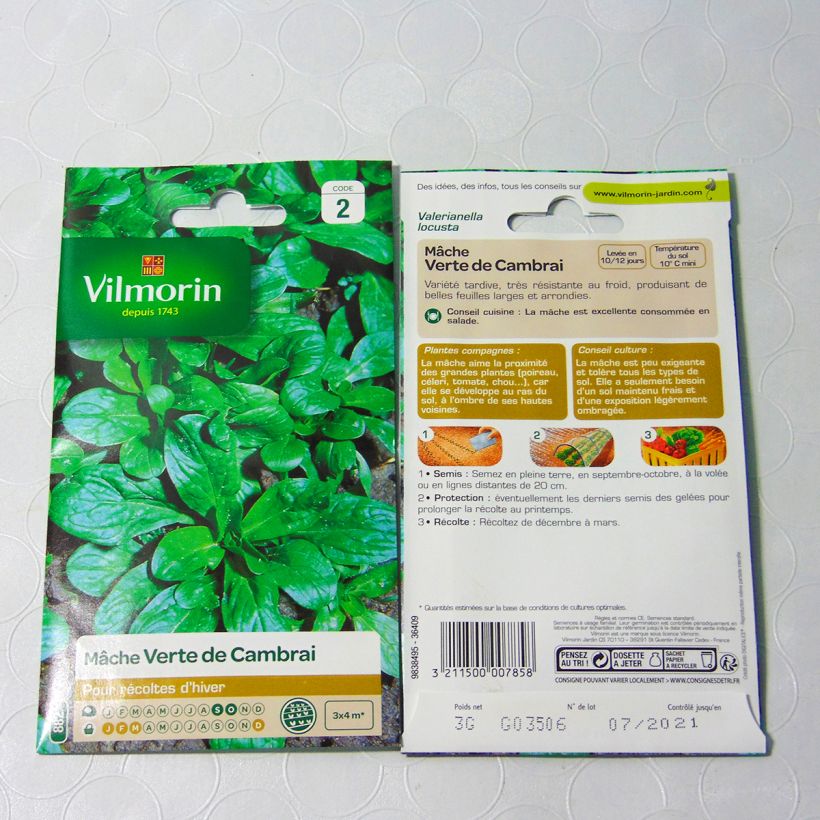 Example of Gewöhnlicher Feldsalat Verte de Louviers - Vilmorin per pack of 3000 seeds (3g) as you get