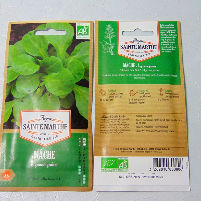 Example of Gewöhnlicher Feldsalat Grosse Graine per pack of 300 seeds as you get