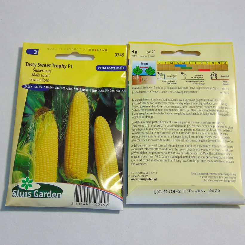 Example of Mais Tasty sweet Trophy F1 per pack of 20 seeds (4g) as you get