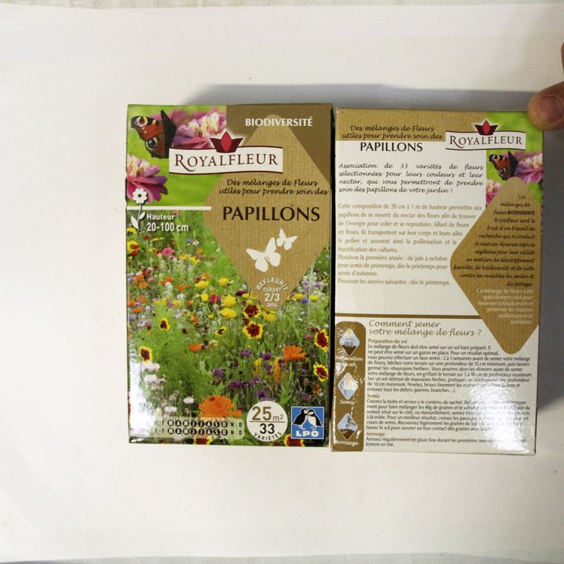 Example of Schmetterlingsanziehendes Mischung - Box für 25 m2 per 40 g seed pack as you get