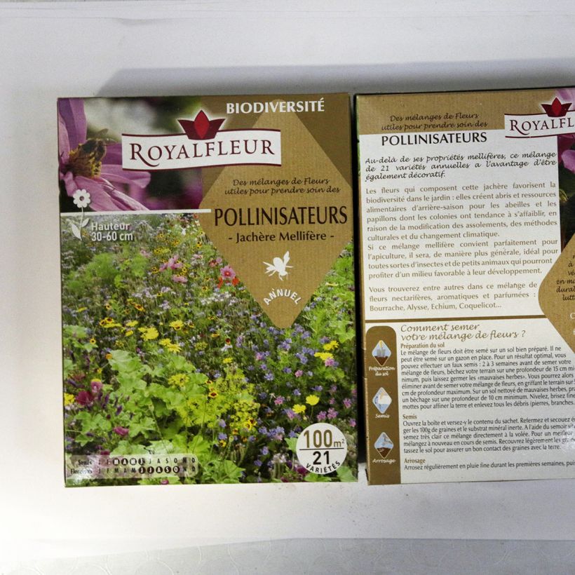 Example of Mischung zur Anziehung von Bestäubern - 100 m² Box per pack of 100 seeds as you get