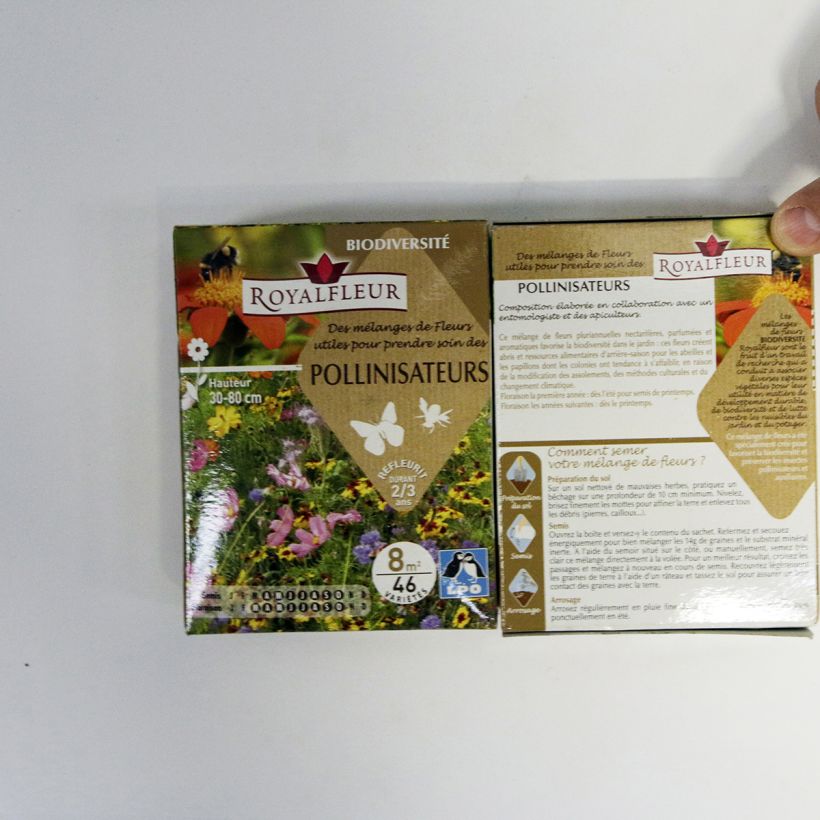 Example of Pollinator-Anziehungsmischung - 8 m² Box per 14 g seed pack as you get