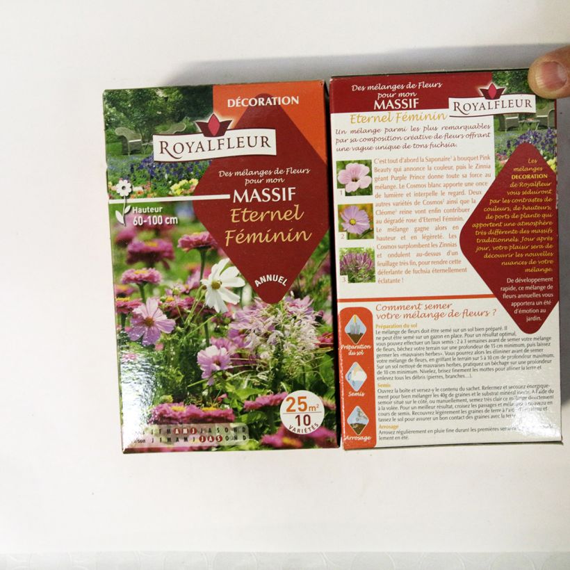 Example of Staudenmischung Ewig weiblich - Box 25 m2 per 40 g seed pack as you get