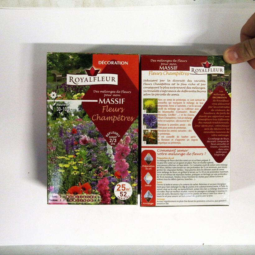 Example of Mischung für Wildblumenbeet - 25 m2-Box per 40 g seed pack as you get