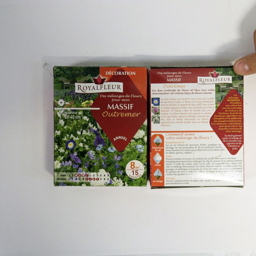 Example of Staudenmischung Blau - 8 m2 Box per 14 g seed pack as you get