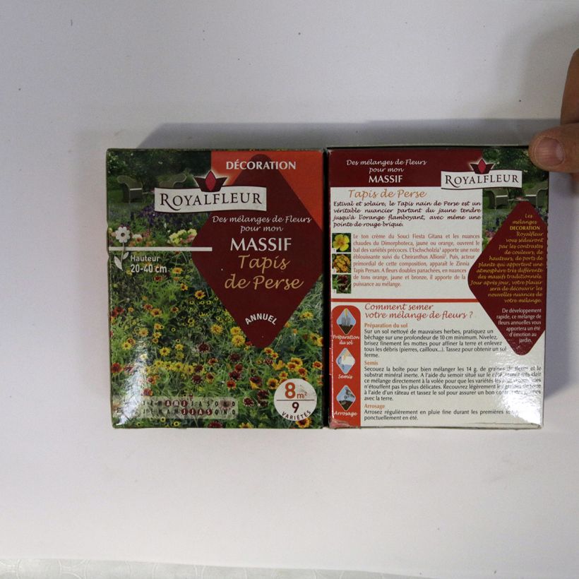 Example of Perserteppich-Mischung für Blumenbeete - Box für 8 m2 per 14 g seed pack as you get