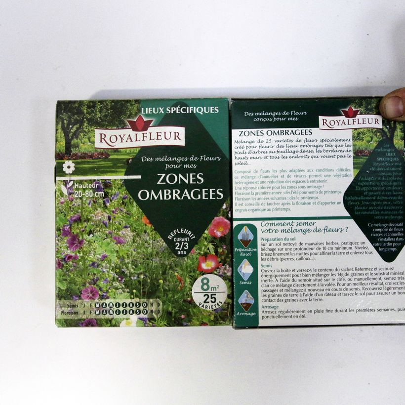 Example of Schattenmischung - 8 m2 Box per 14 g seed pack as you get