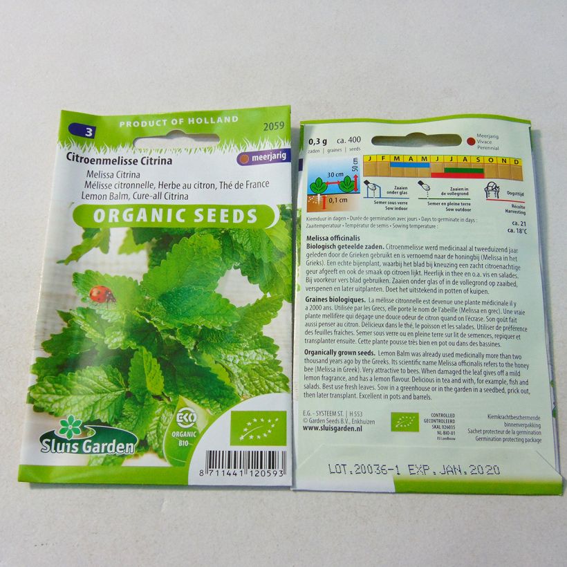 Example of Melisse - Melissa officinalis Samen Bio per pack of 1000 seeds (0,6g) as you get