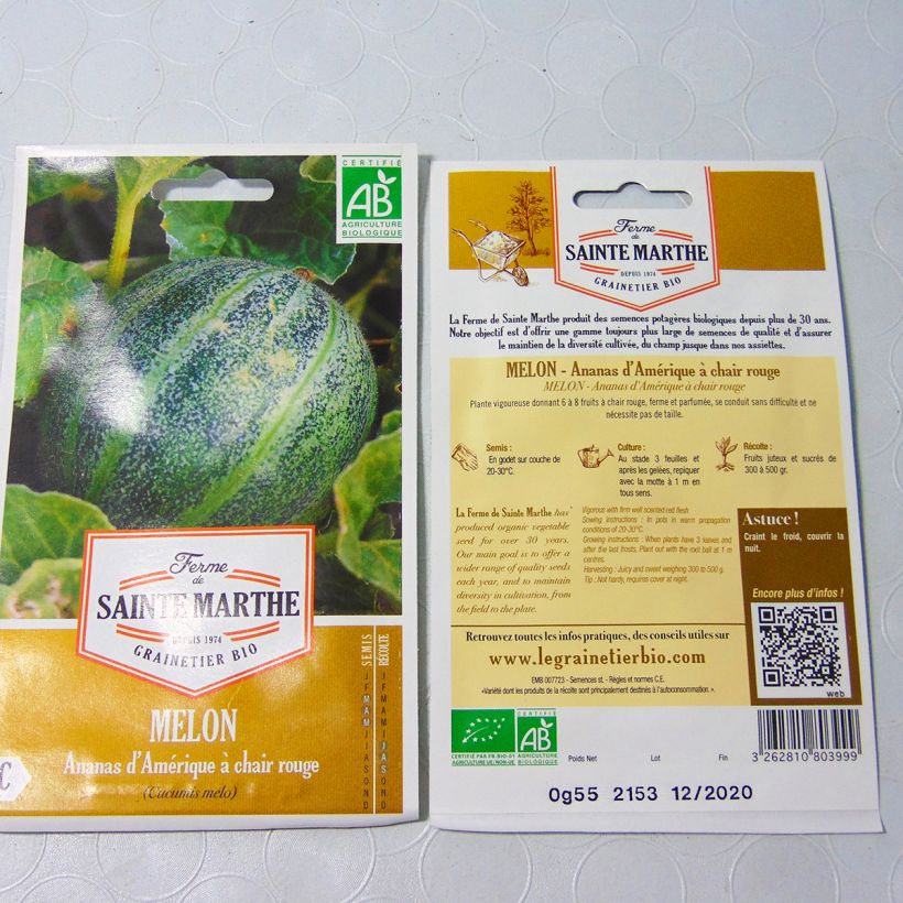 Example of Melone Ananas d'Amérique Bio - Ferme de Sainte Marthe per pack of 15 seeds as you get