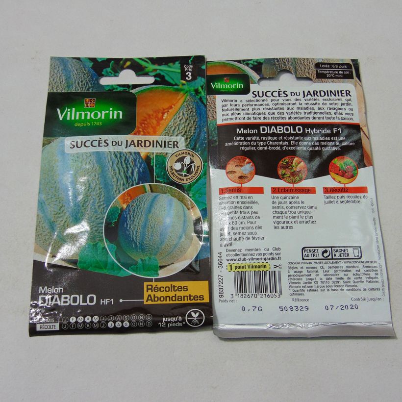 Example of Melone Diabolo F1 - Vilmorin per pack of 21 seeds (0.7g) as you get