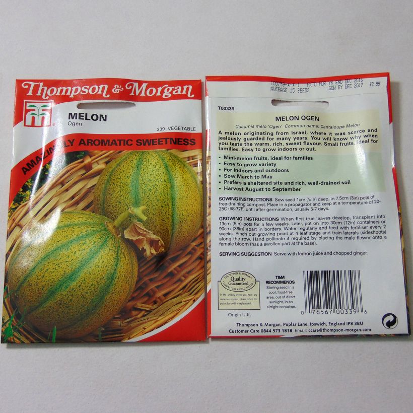 Example of Melone Ogen per pack of 15 seeds as you get