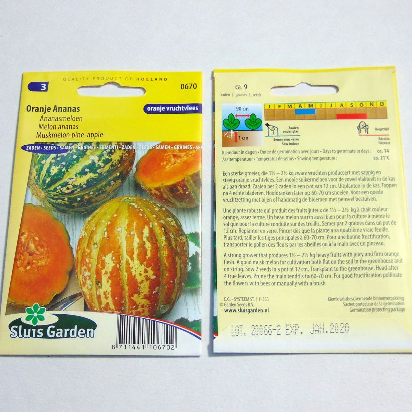 Example of Melone Orange Ananas per pack of 9 seeds as you get