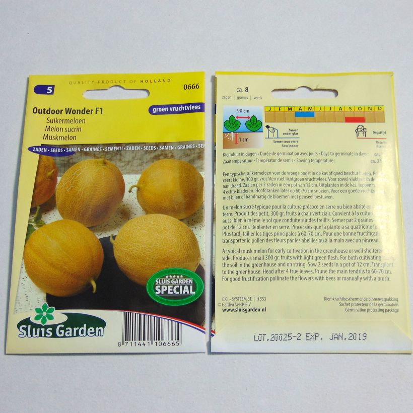 Example of Melone Outdoor Wonder F1 per pack of 8 seeds as you get