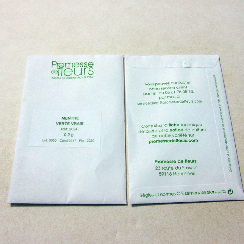 Example of Ähren-Minze Verte vraie - Mentha spicata per pack of 2000 seeds (0,2g) as you get