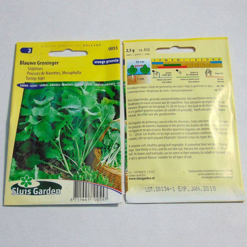 Example of Rübe Blauwe Groninger per pack of 850 seeds (2g) as you get