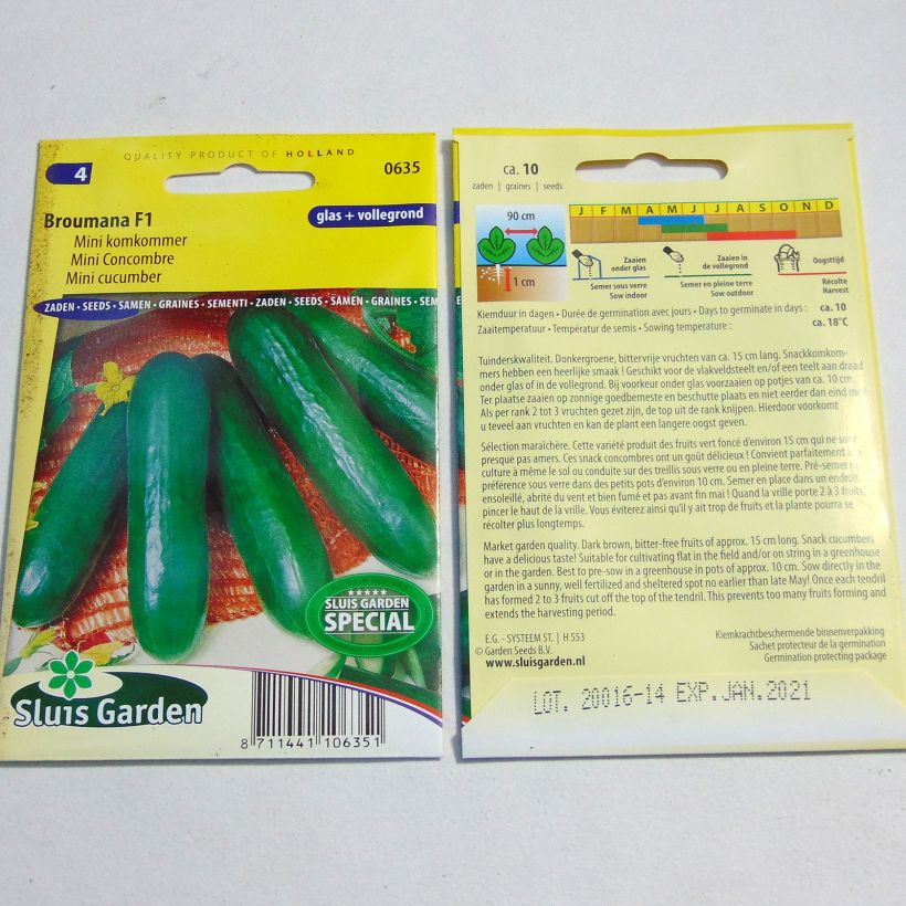 Example of Snack-Gurke Broumana F1 die Tüte mit 10 Samen as you get