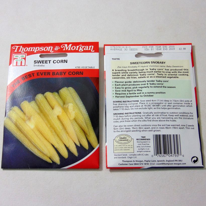 Example of Mais Snobaby per pack of 30 seeds as you get