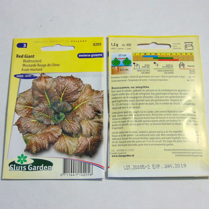 Example of Sarepta-Senf Red Giant per pack of 800 seeds (2g) as you get