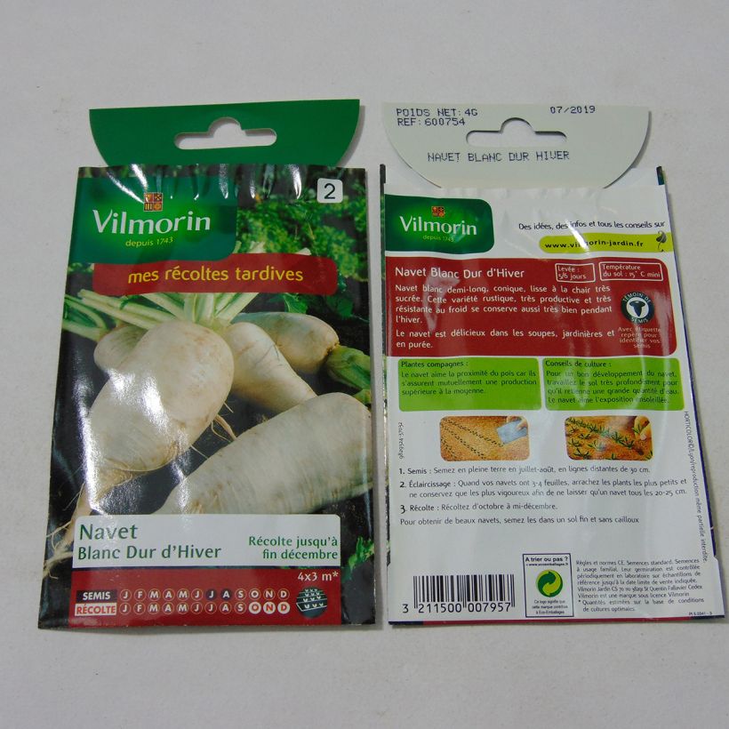 Example of Rübe Blanc Dur d'Hiver - Vilmorin per pack of 1600 seeds (4g) as you get