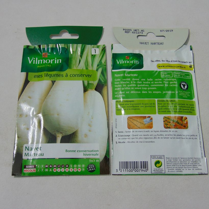 Example of Rübe Marteau - Vilmorin per pack of 1600 seeds (4g) as you get