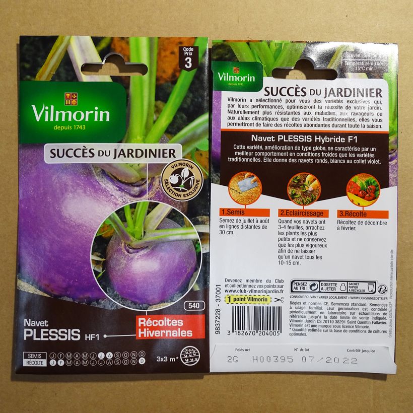 Example of Rübe Plessis F1 - Vilmorin per pack of 800 seeds (2g) as you get